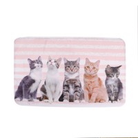 High Quality Cute Pattern Durable Anti Slip Regular Shape Household Rectangle Pet Mat